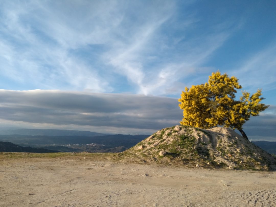 SEMANA ECO VIRTUAL – DESAFIO UM MUNDO DIFERENTE