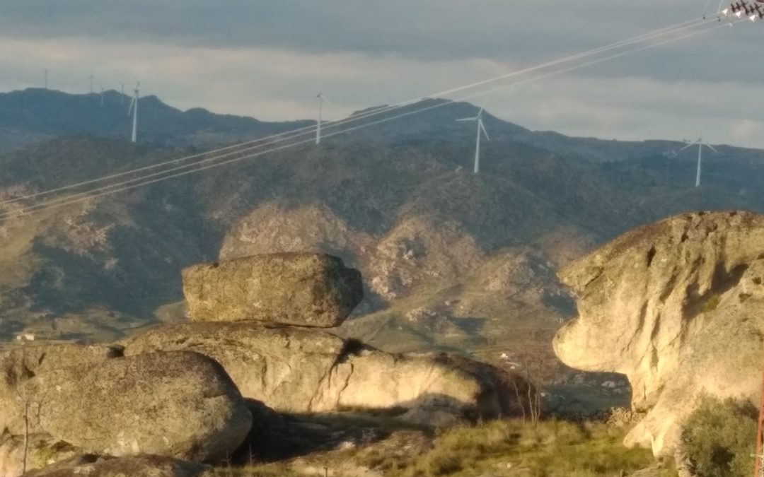 SEMANA ECO VIRTUAL – DIA MUNDIAL DA TERRA