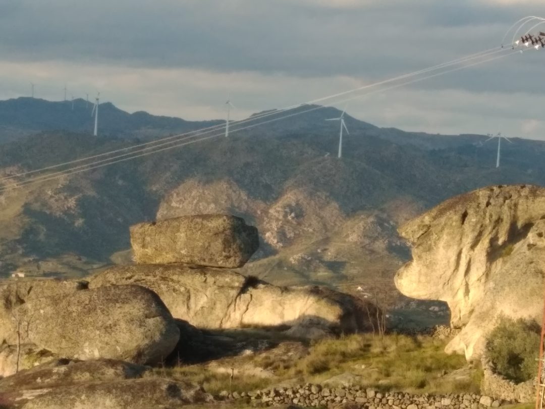 SEMANA ECO VIRTUAL – DIA MUNDIAL DA TERRA