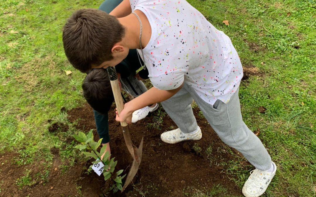 Dia da Floresta Autóctone