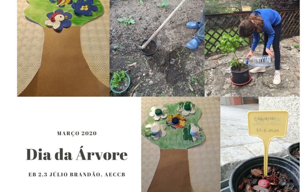 Dia da árvore