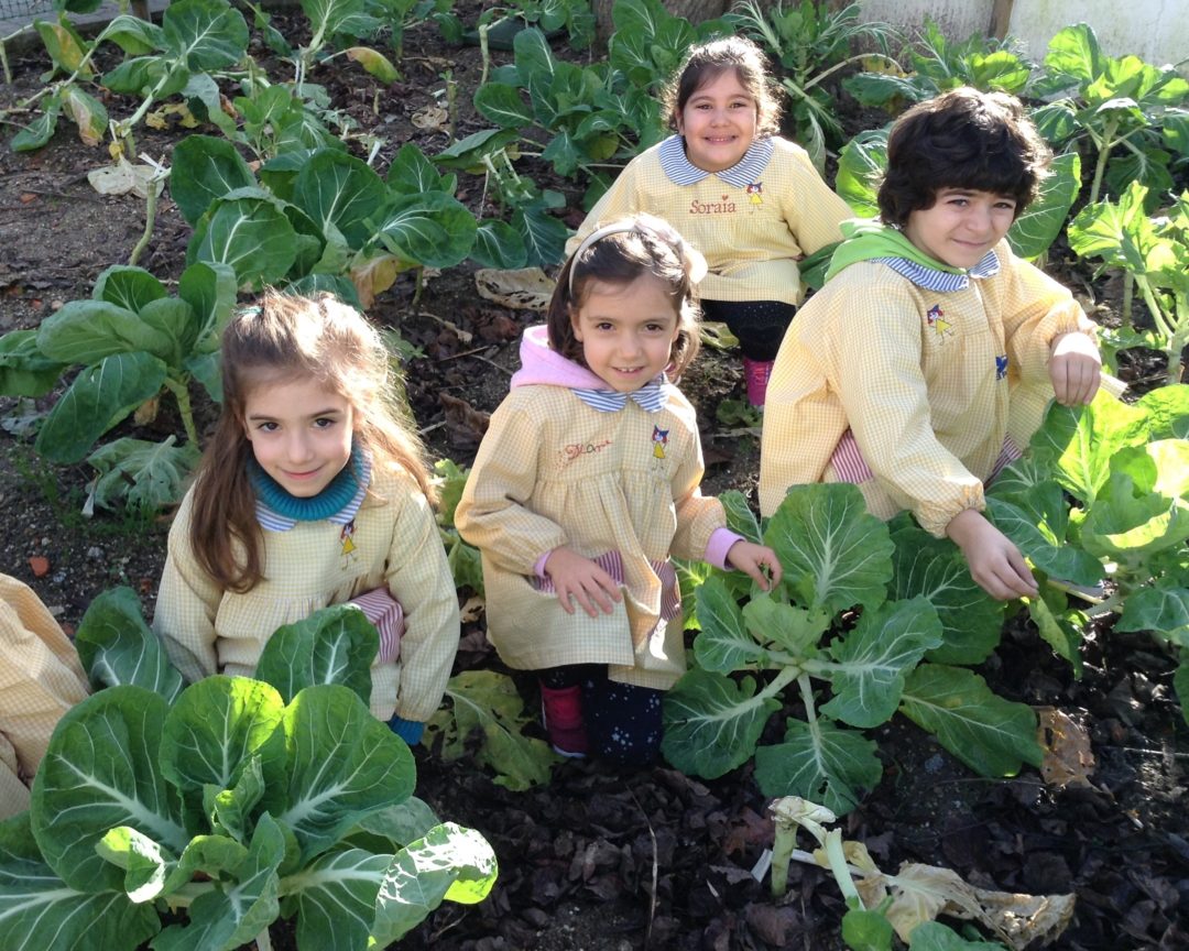 HORTA BIOLÓGICA NO JARDIM DE INFÂNCIA DA ASSOCIAÇÃO DE BENEFICÊNCIA POPULAR DE GOUVEIA