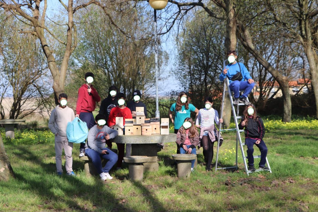 “As Aves da Minha Escola”