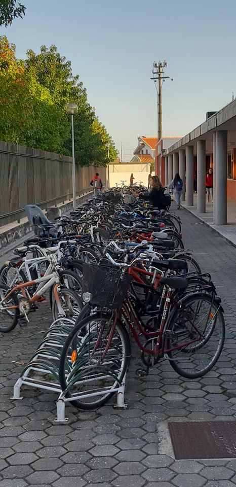 mobilidade sustentavel