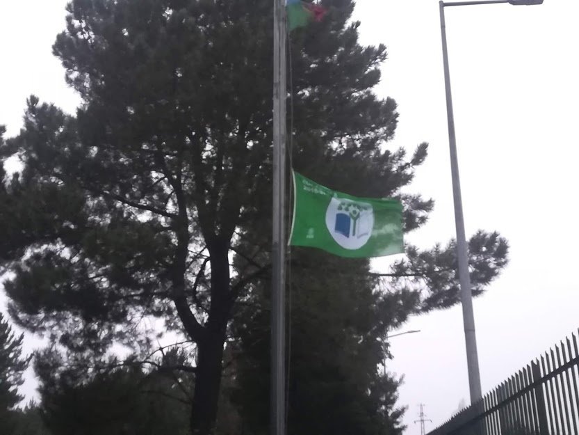 Bandeira Verde a meia haste