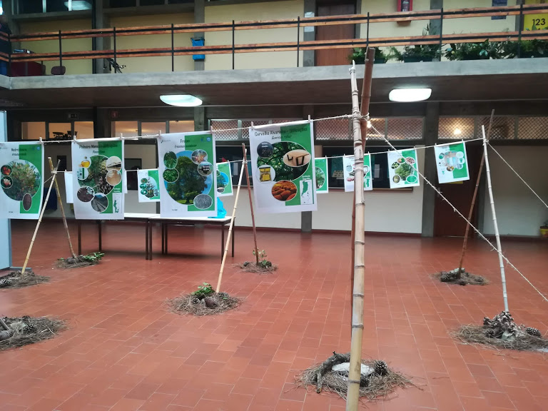 Cartazes_FlorestaAutóctone