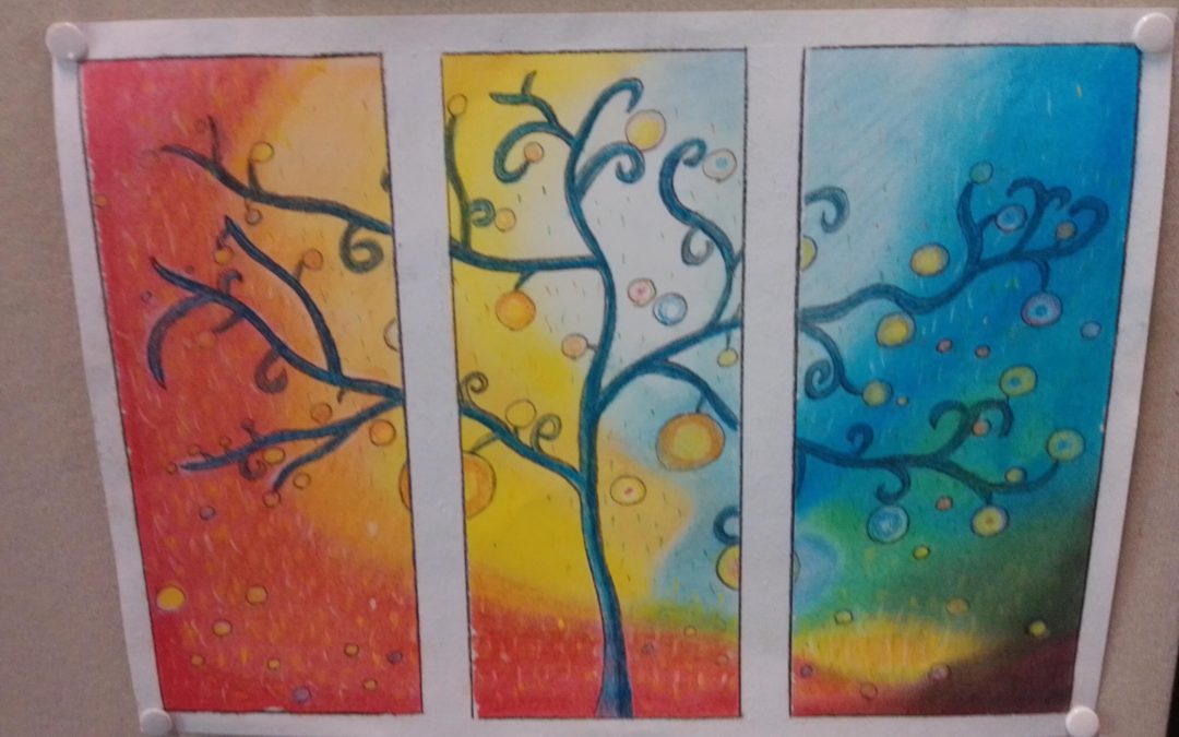 Dia Mundial da Árvore