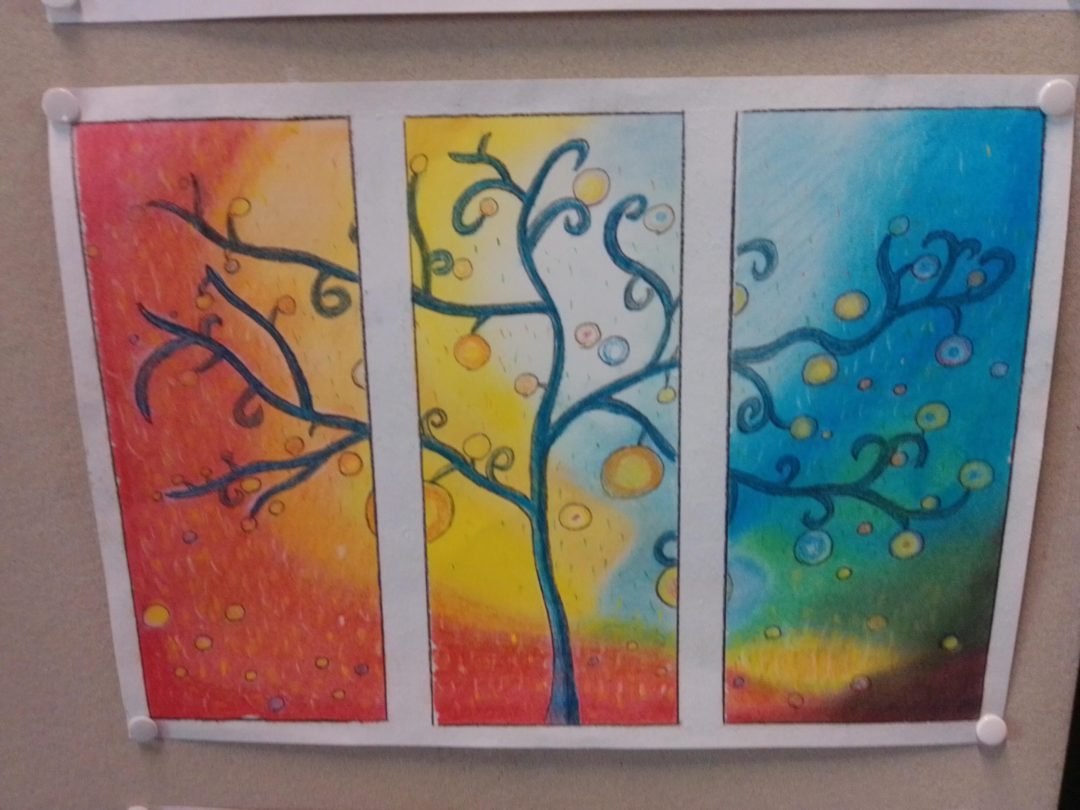 Dia Mundial da Árvore