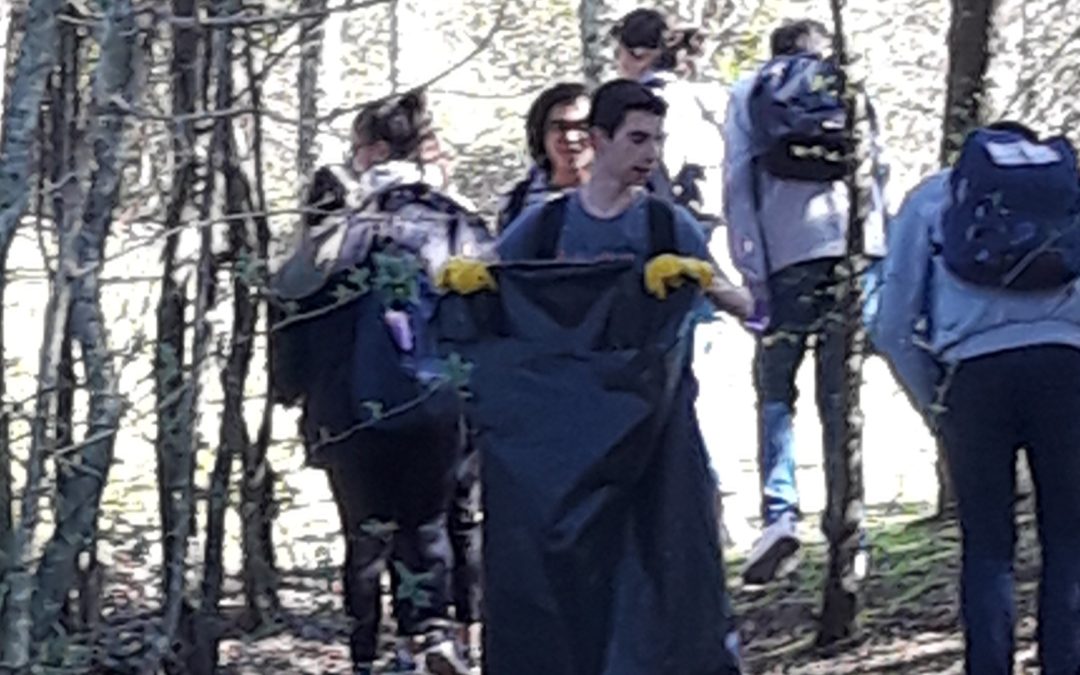 Escola Secundária João da Silva Correia: Saída de Campo ao Parque do Rio Ul