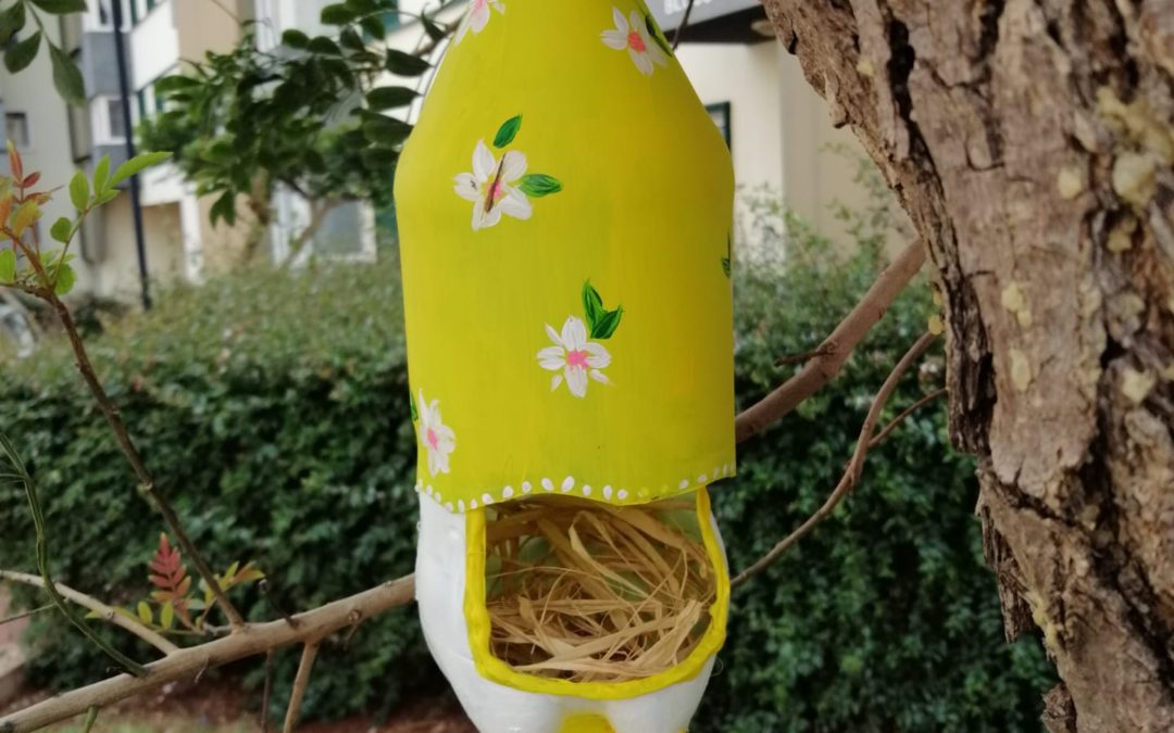 Biodiversidade em tempo de quarentena!