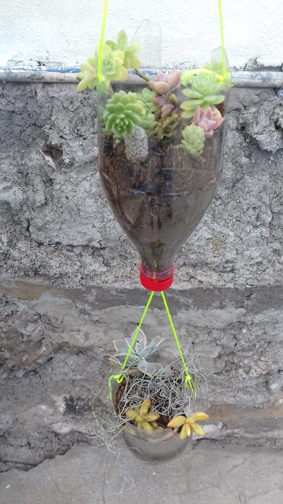 Vaso de plantas Comedouro de Pássaros