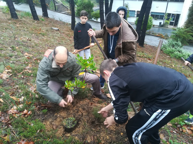 29 de novembro 2019 – Floresta Portuguesa em Dia de Greve Climática Global