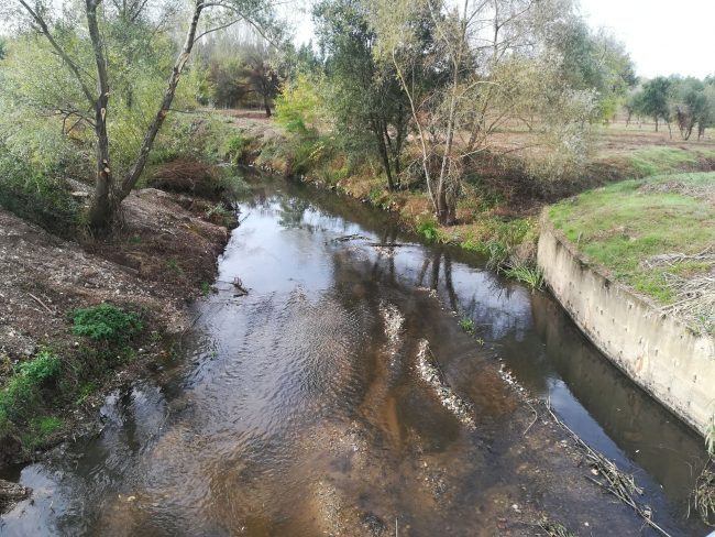 Projeto “Cértima. Por este rio abaixo…”