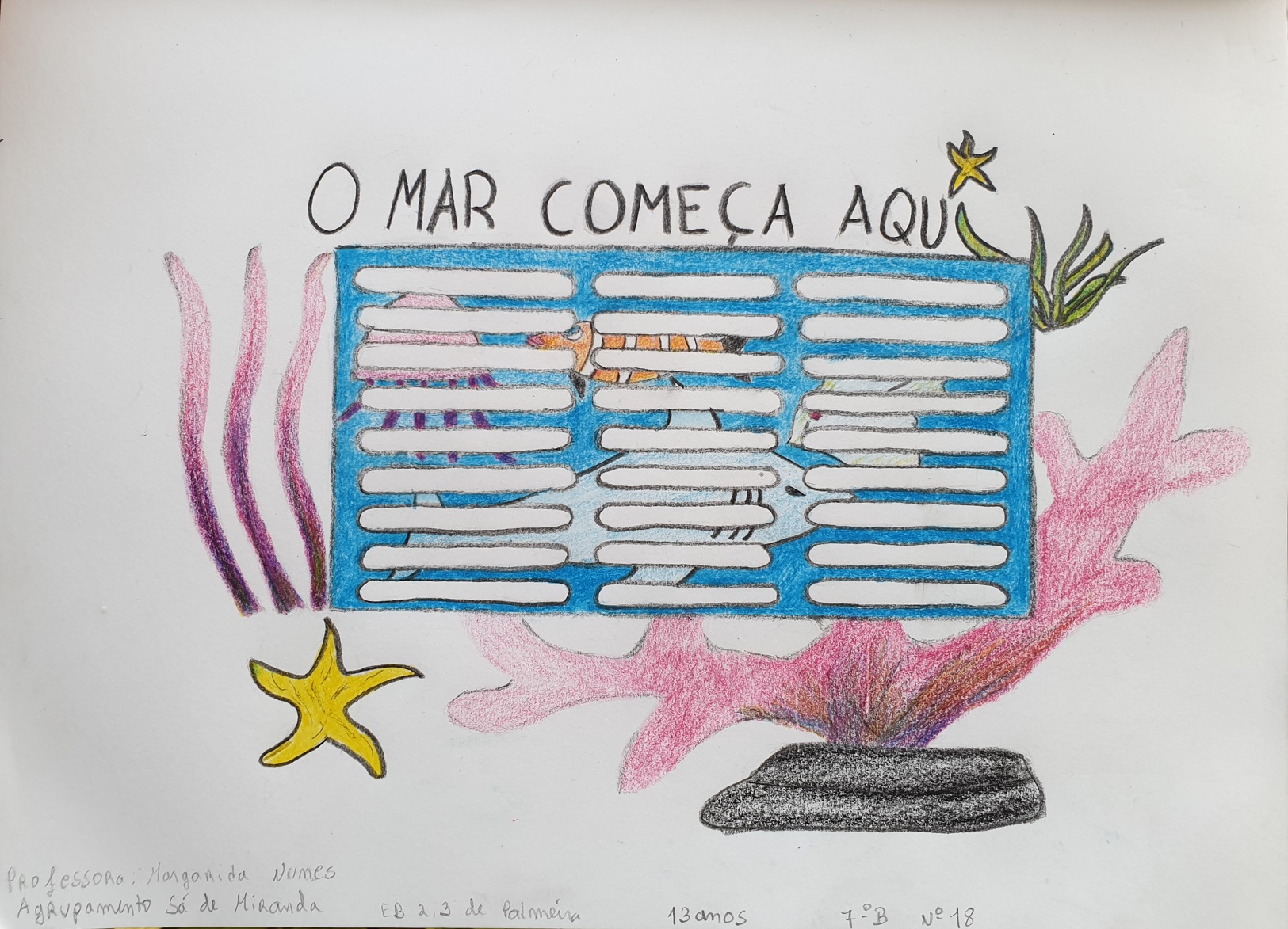 Proteção da Biodiversidade marinha