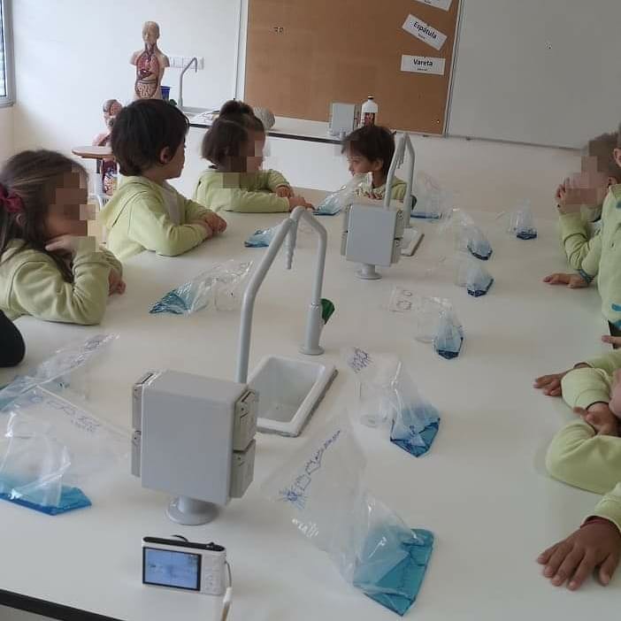 ciclo da água e importância da preservação da água