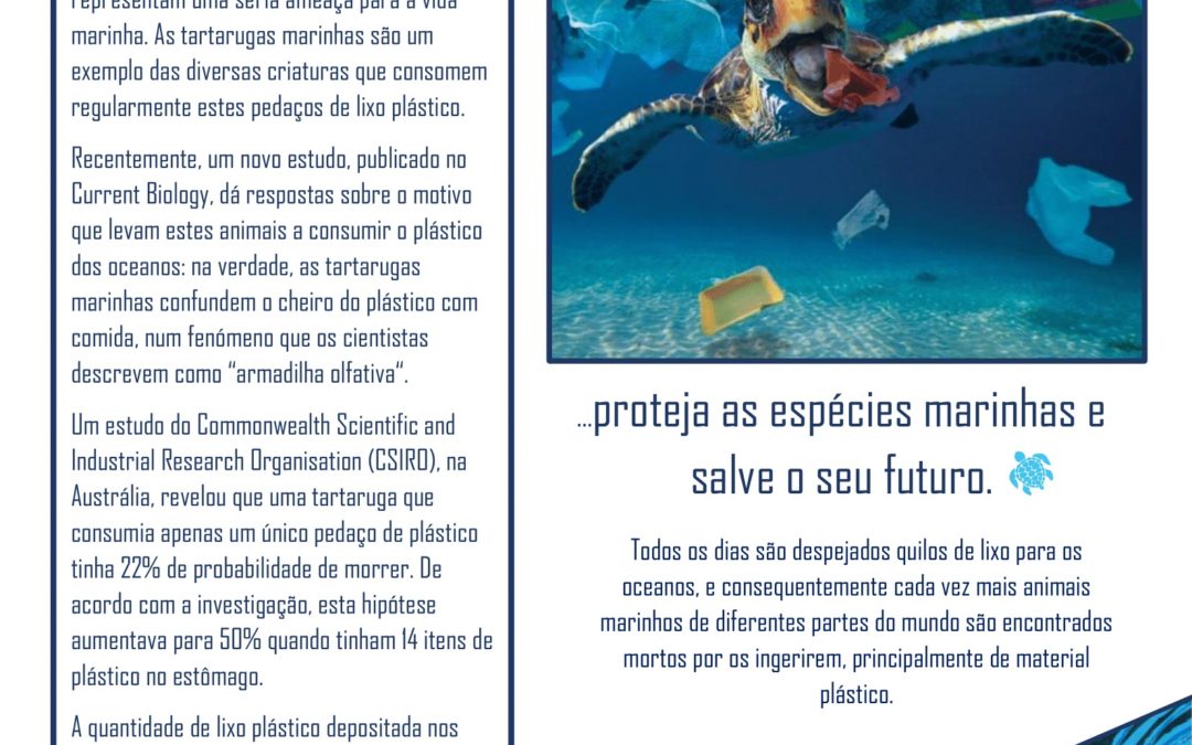 COMEMORAÇÃO DO DIA MUNDIAL DOS OCEANOS – 8 de junho