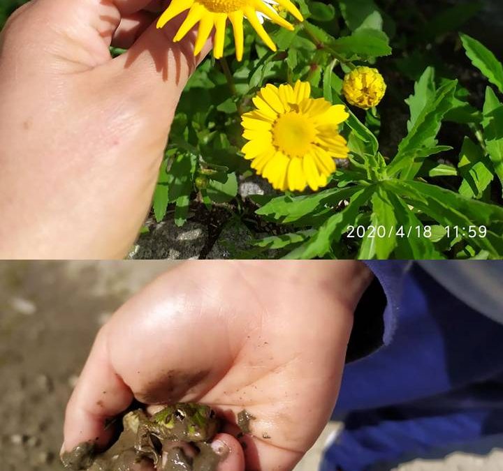 “Global Action Day” na Escola em casa