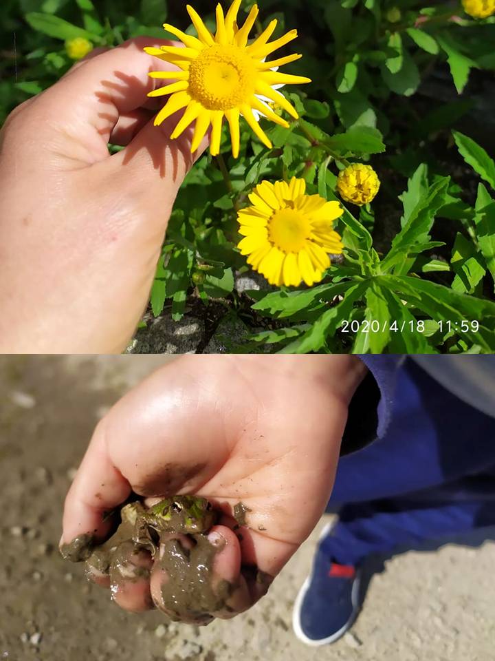 “Global Action Day” na Escola em casa