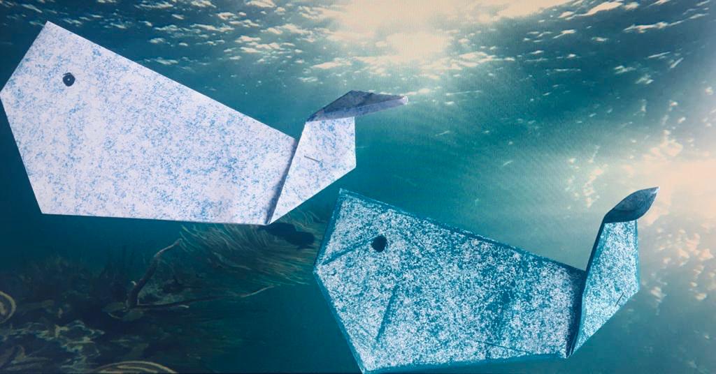 Neste regresso ao mar, lembre-se de preservar!