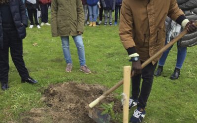 Árvores para o Futuro