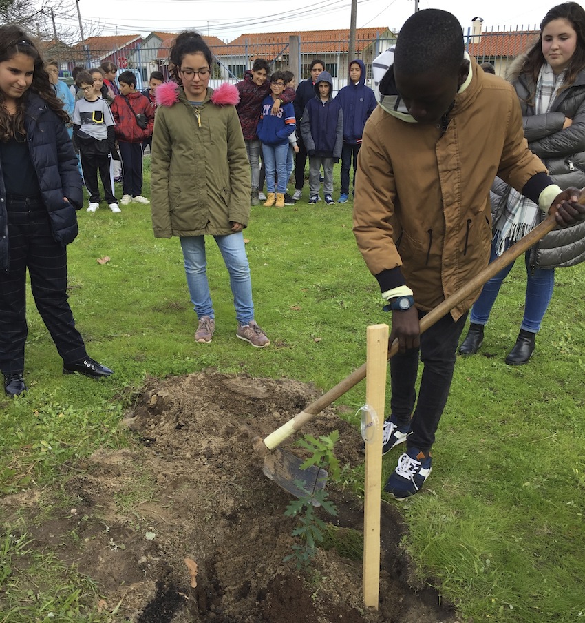 Árvores para o Futuro