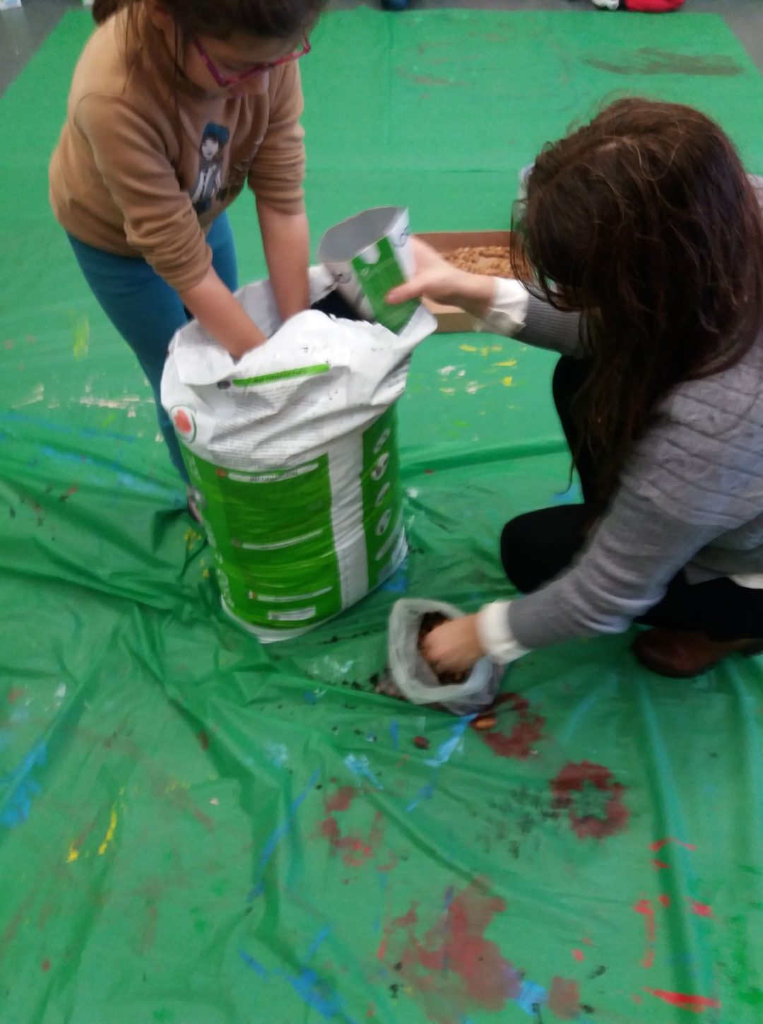 Sementeira de Bolotas _ 1º ciclo