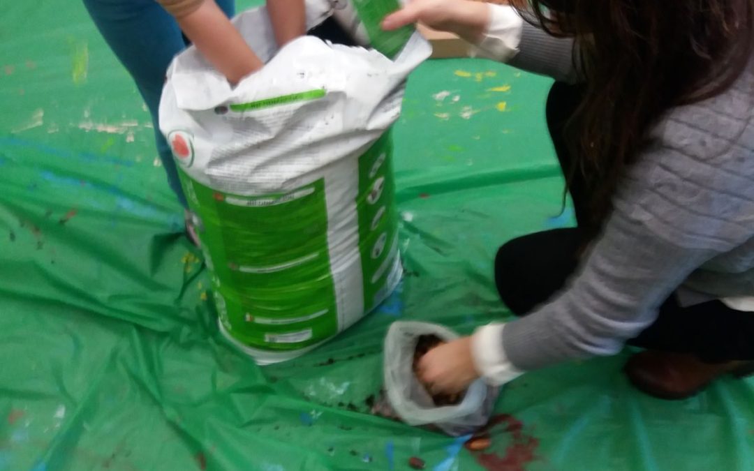 Sementeira de Bolotas _ 1º ciclo