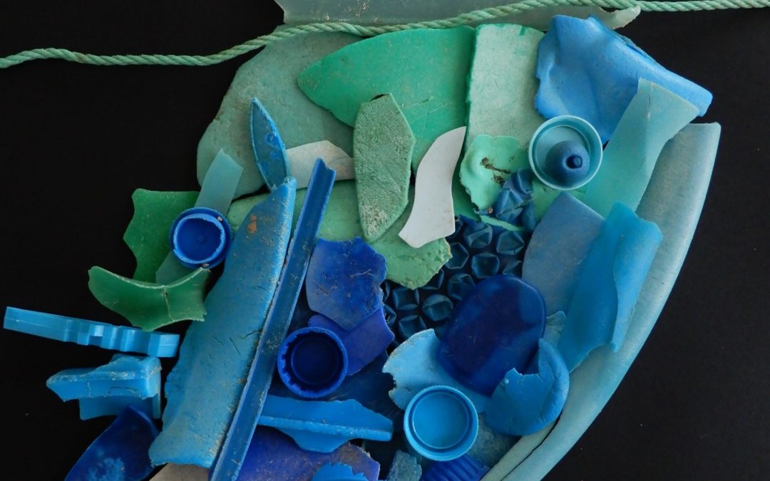 Limpeza de praia e partilha de boas práticas “Um objeto, uma ação de redução de plástico” (TidyShark + Colégio do Castanheiro)