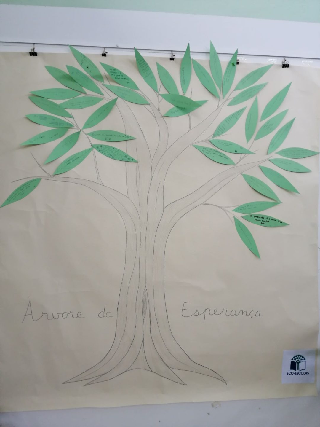 A árvore da esperança