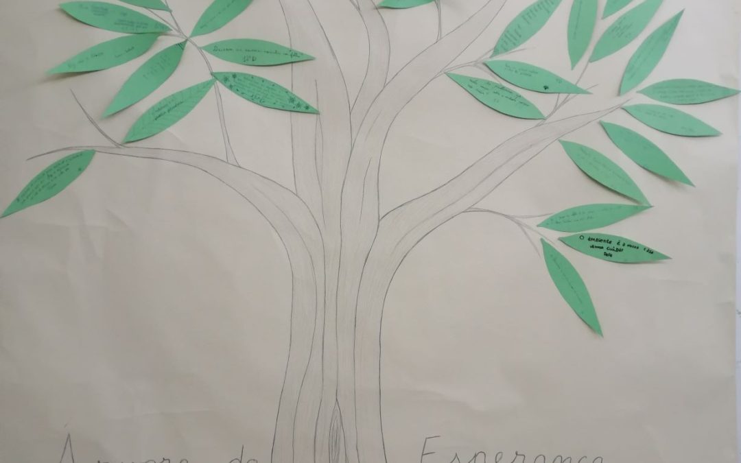 A árvore da esperança