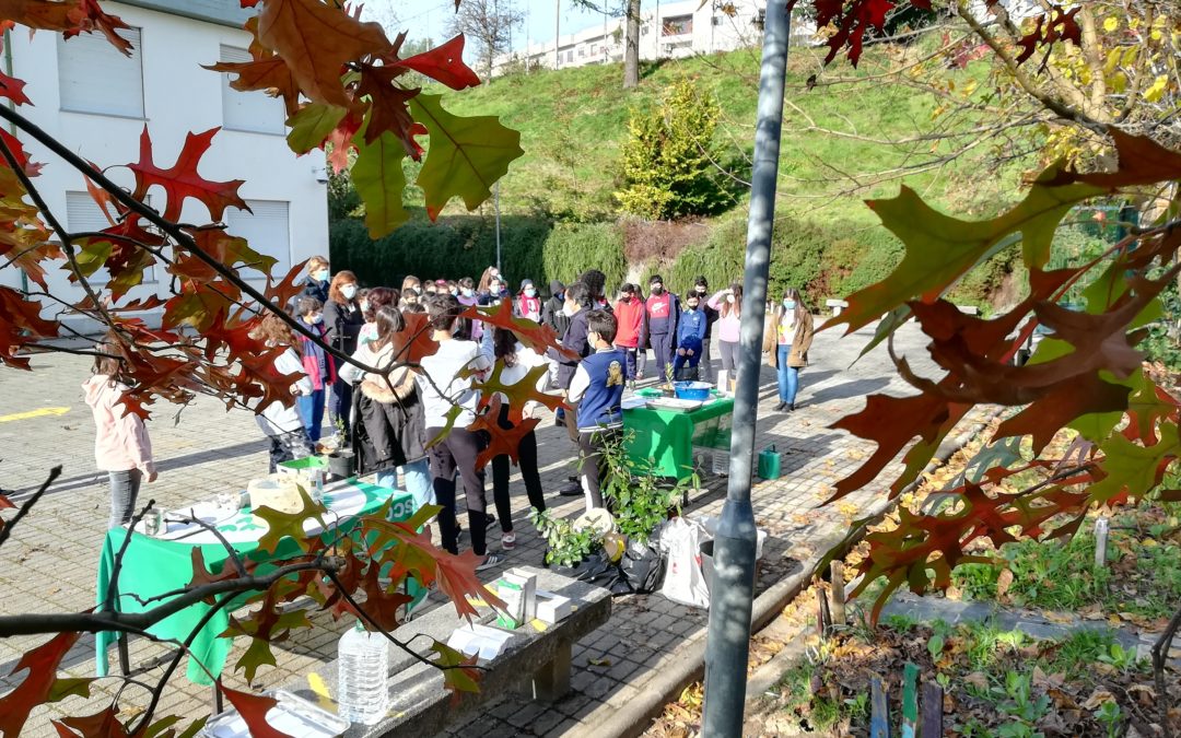 Dia da Floresta Autóctone – De sol a sol, pela floresta autóctone