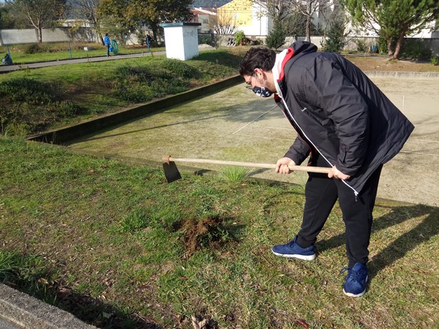 IMG_20201123_125322_2