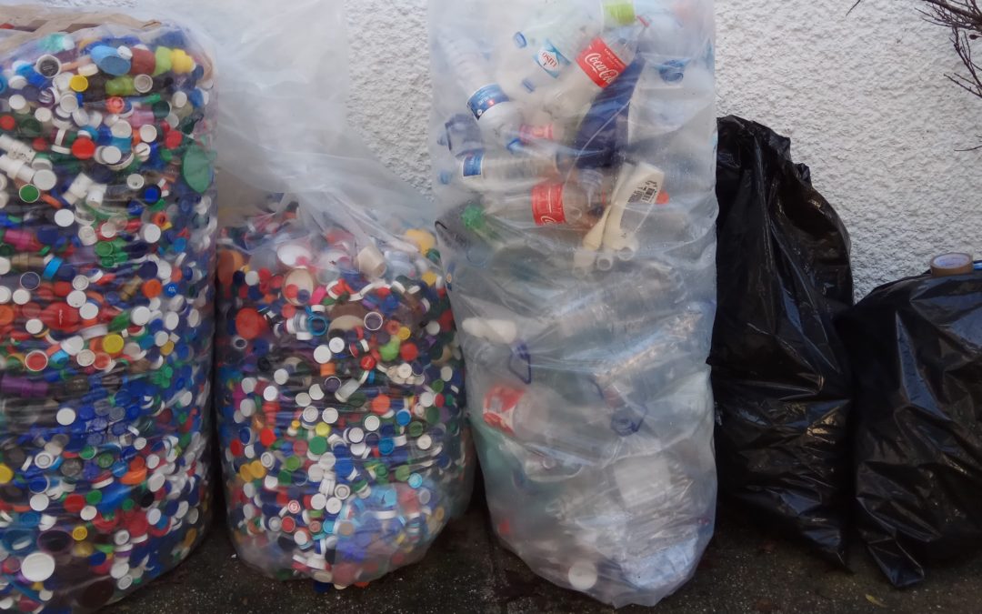 O projeto Escola Solidária no 1º Periodo