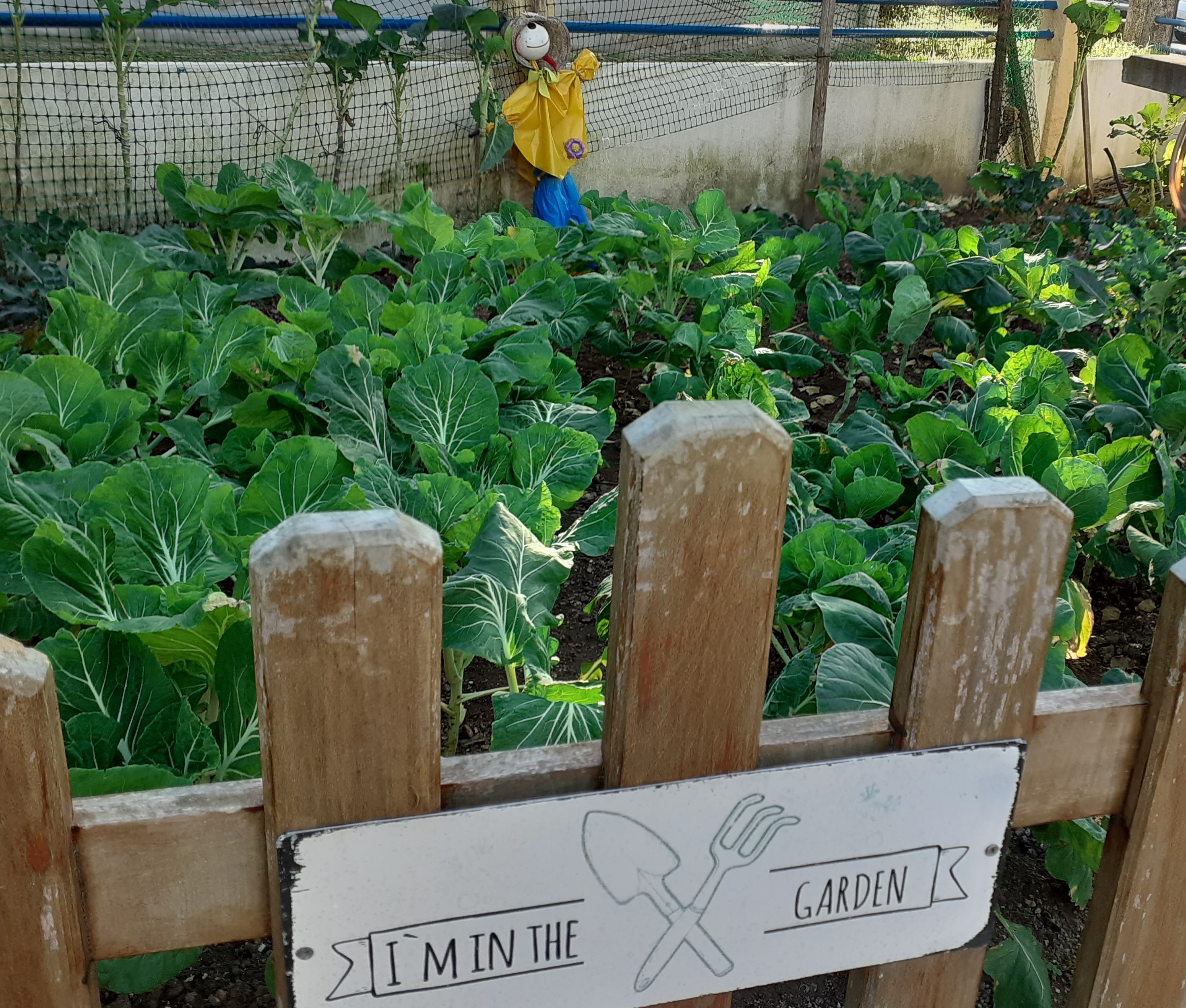 horta20201123_152054