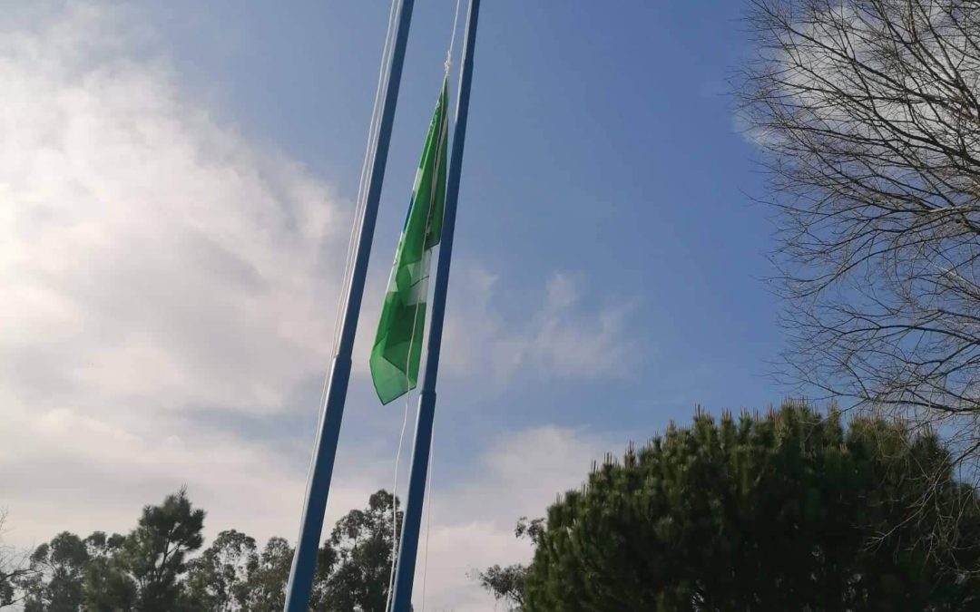 Hastear da Bandeira Verde