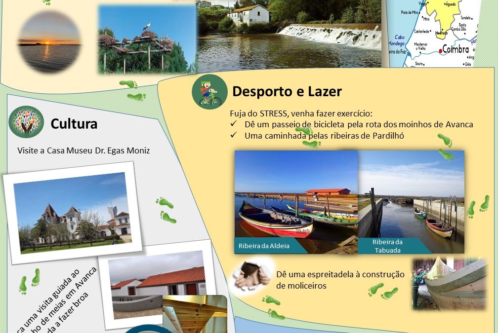 GeoDesafio: “Conheça a riqueza paisagística de Estarreja – Aveiro – Portugal”