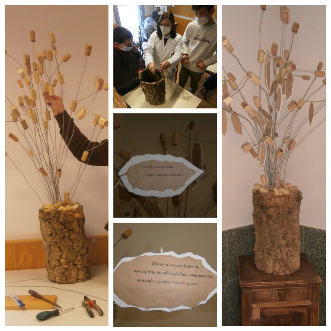 Sobreiro dos Direitos