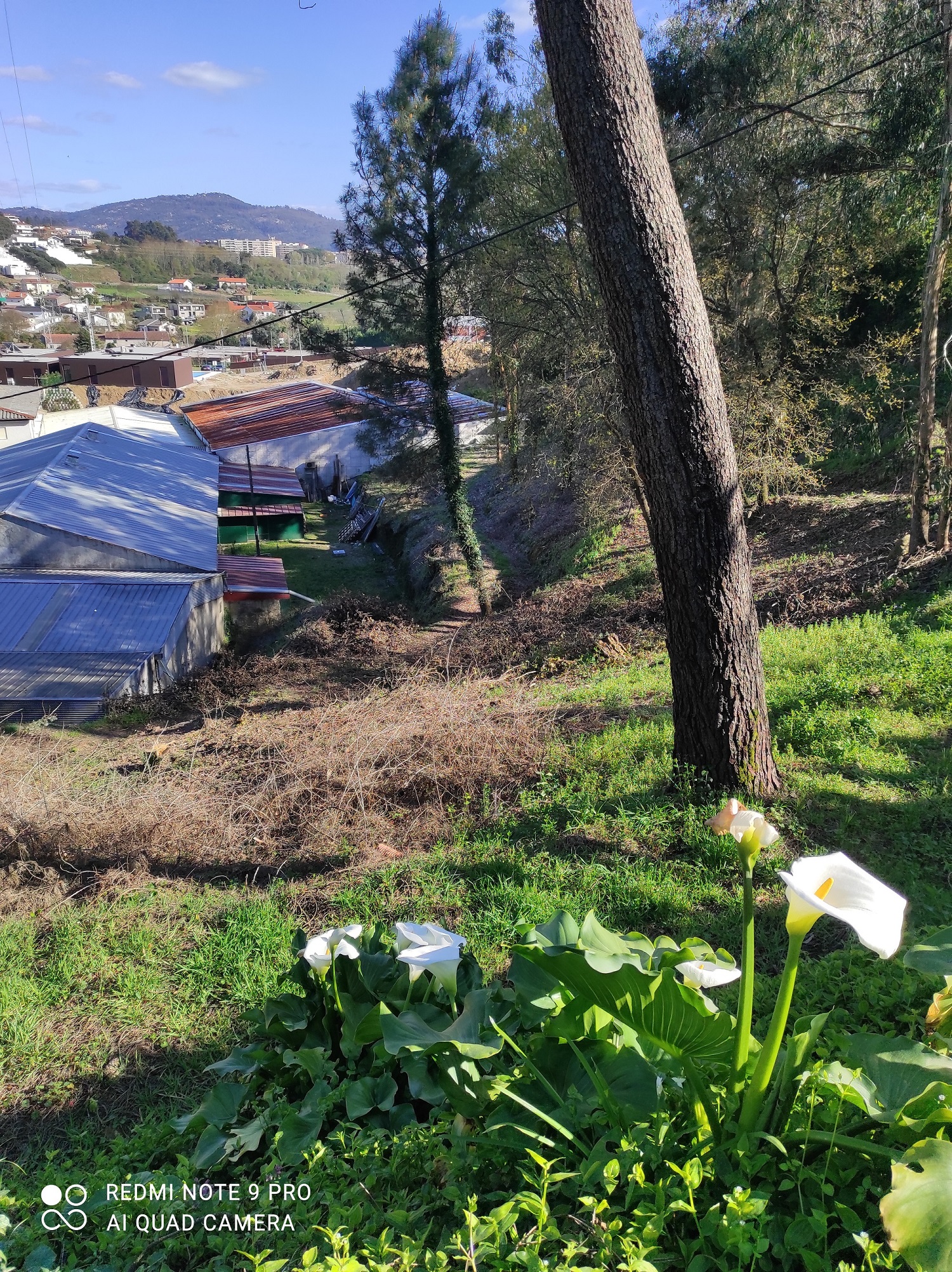 1615745438144- Jarros