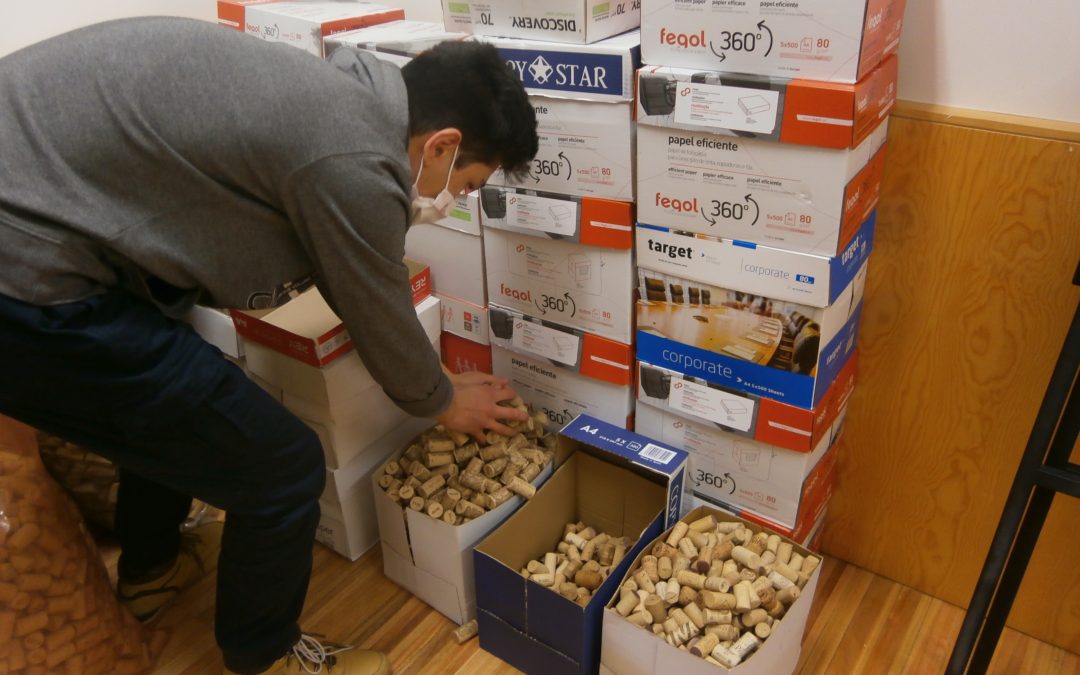 “Green Cork escolas”