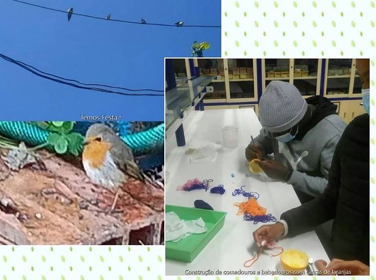 AÇÃO 6 – FAZ UMA FESTA!