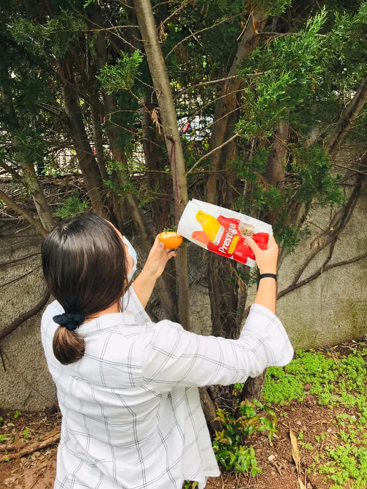 Construção e colocação de alimentadores com sementes e bebedores de água no jardim da escola