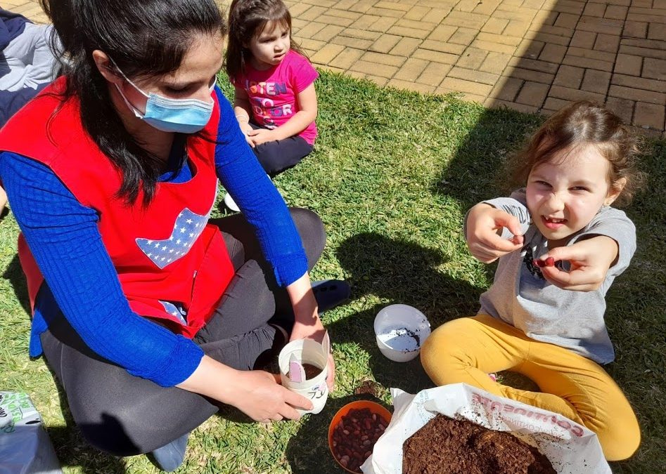 As nossas sementeiras