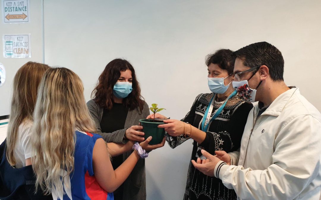 Adopta uma árvore de estimação