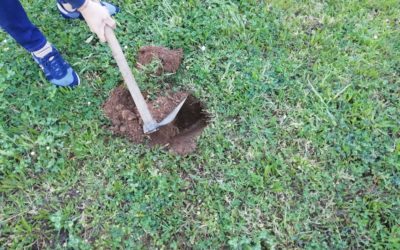 Promover a Biodiversidade