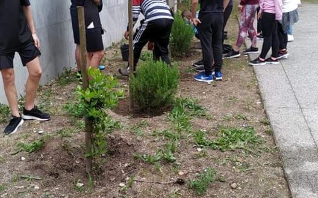 Ação 1: Dia da terra