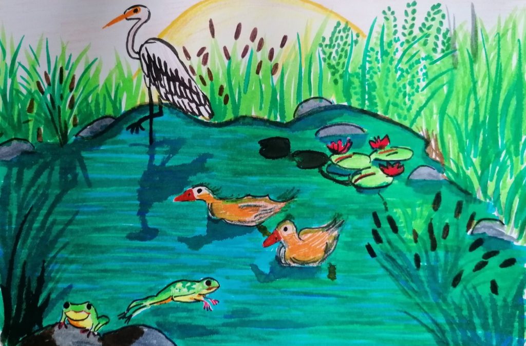 Aqui há vida! | Dia Mundial das Zonas Húmidas