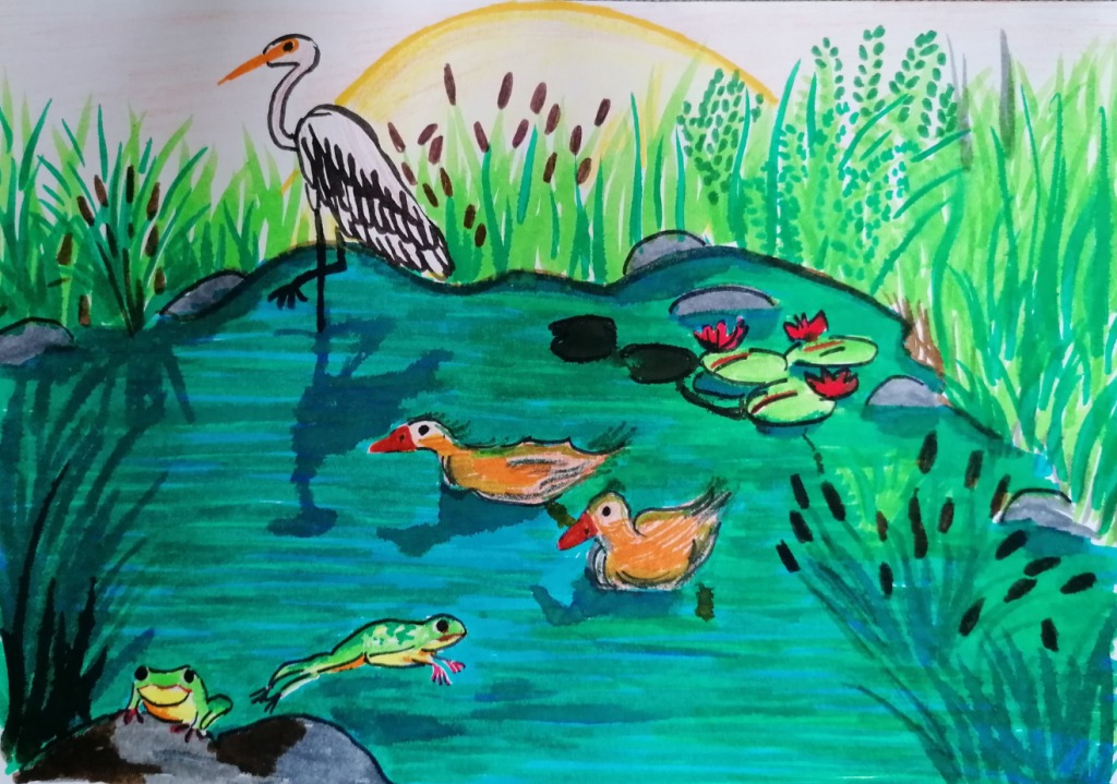 Aqui há vida! | Dia Mundial das Zonas Húmidas