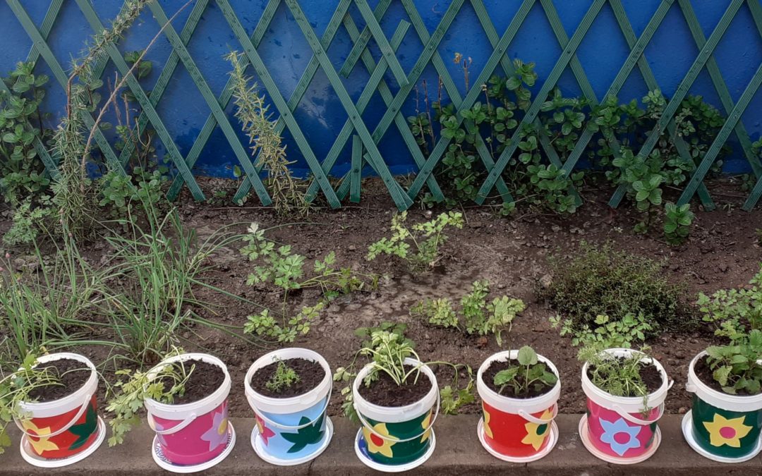 O CANTINHO DAS AROMÁTICAS