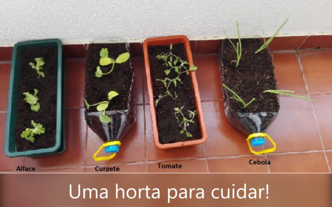 AÇÃO 2 – dia 23 de abril