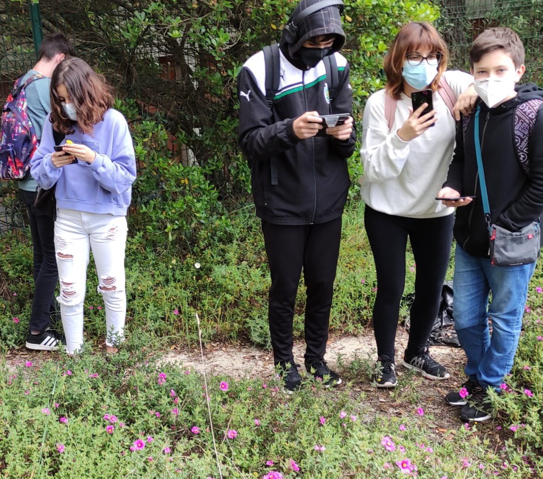 Ambiente saudável, corpo saudável